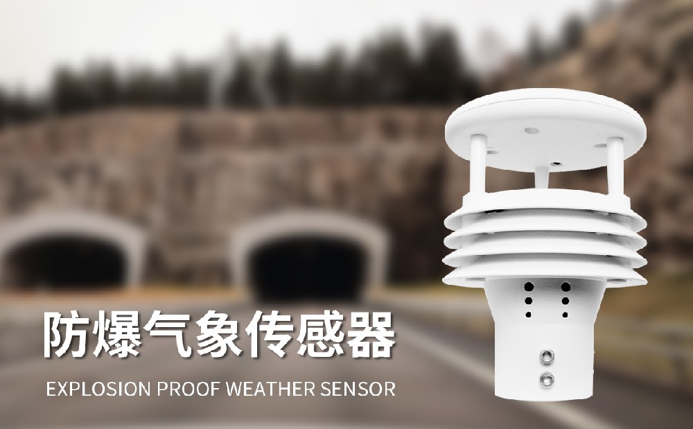 防爆五參數(shù)儀